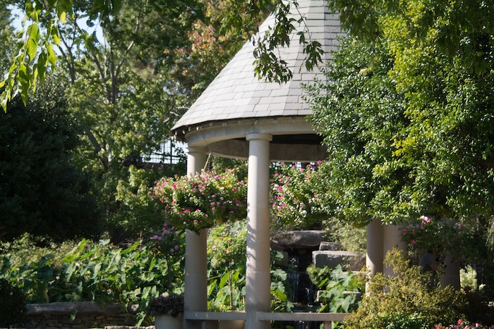 Gazebo hidden by plants