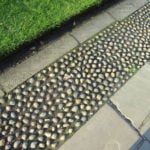 How to Edge a Lawn In 8 Simple Steps