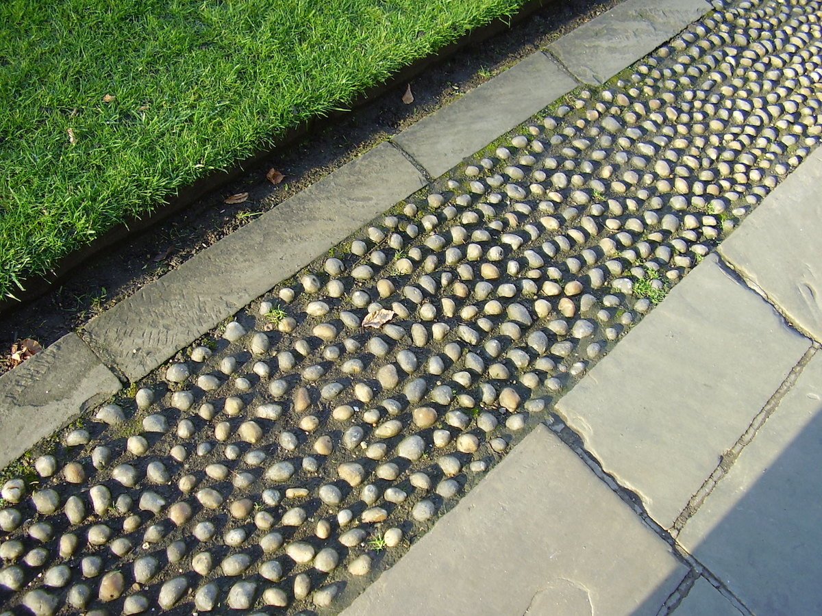 Close-up of edged grass and walking path