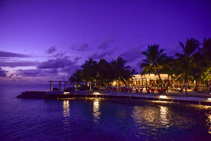 Palm trees lit by landscaping lighting at night