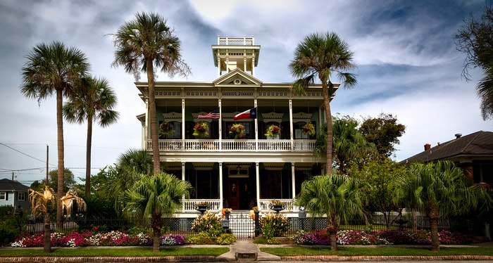 Palms side by side of large home