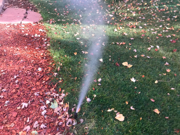 Automatic sprinklers sprinkling water on lawn
