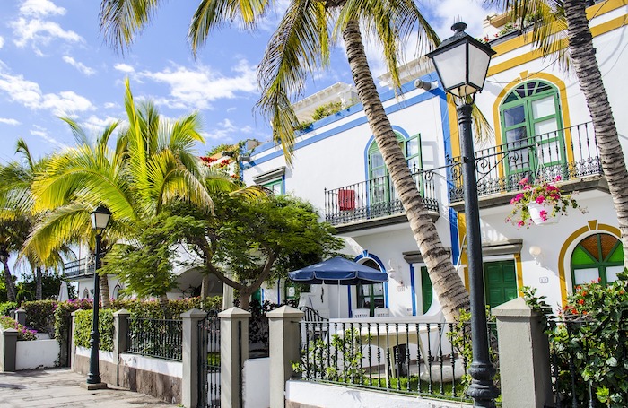 Palm trees growing near balcony