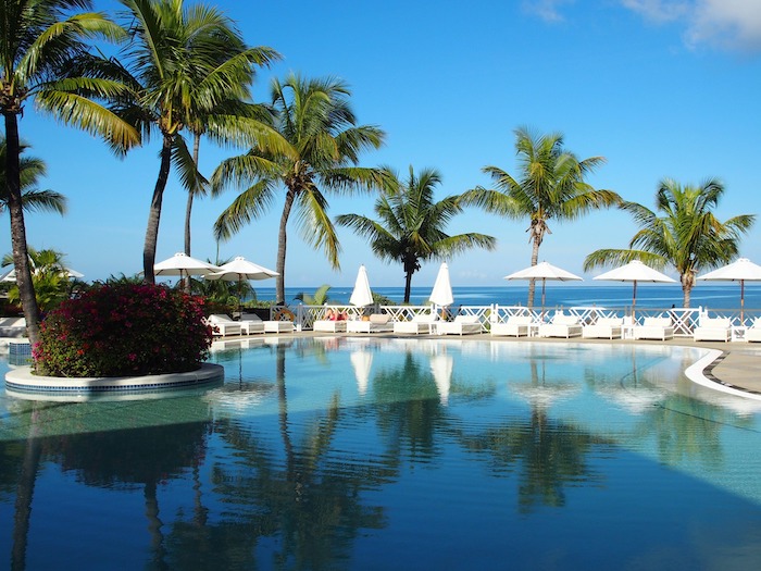 Palms growing near a blue pool