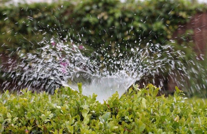 Sprinkler watering garden