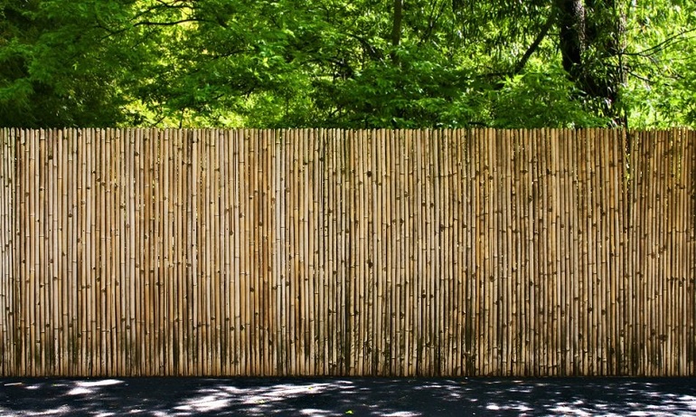 Fence made of bamboo stalks