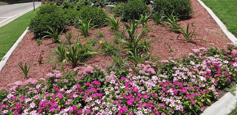 Landscape bed with concrete edging