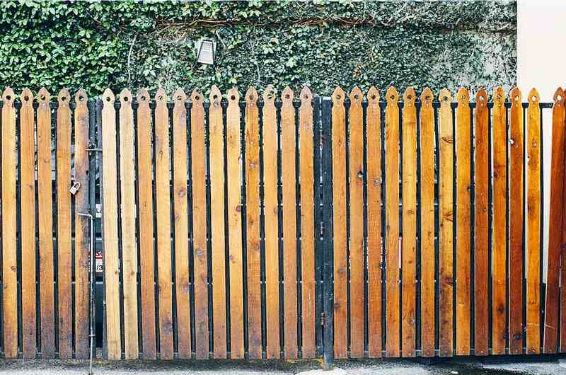 Wooden privacy fence in front of a wall covered with ivy