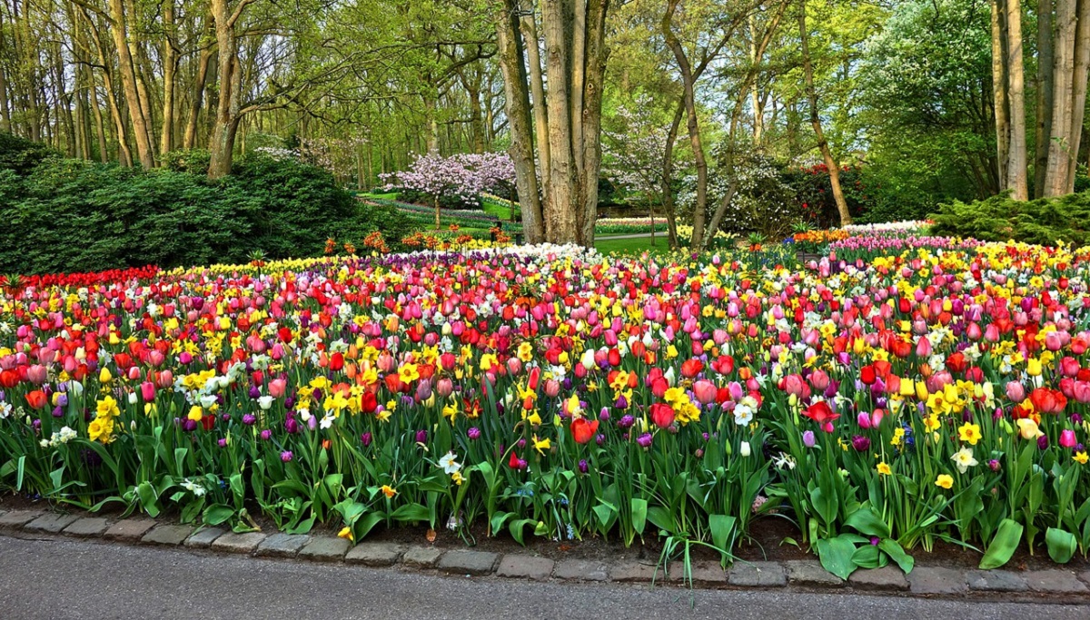 Colorful flower bed with pavers