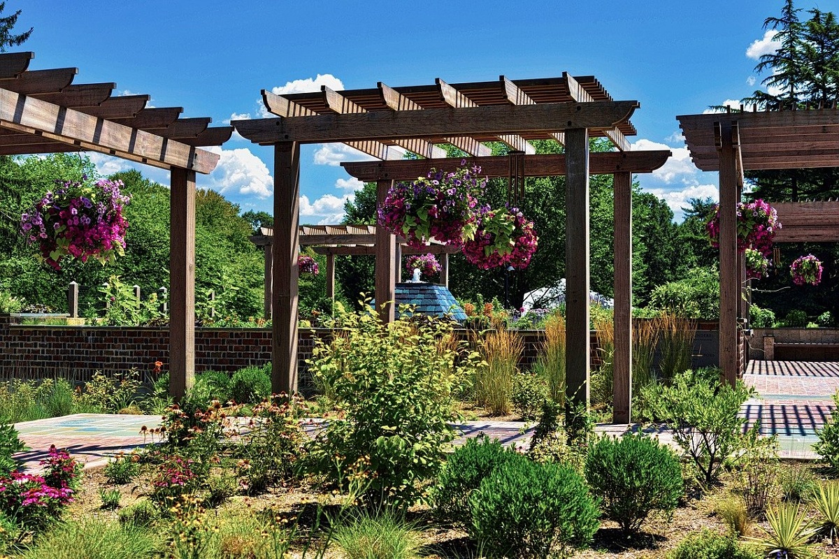 Three wooden pergolas with hanging plants in a garden