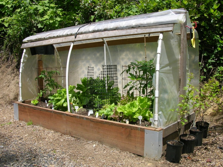 hoop house for raised beds