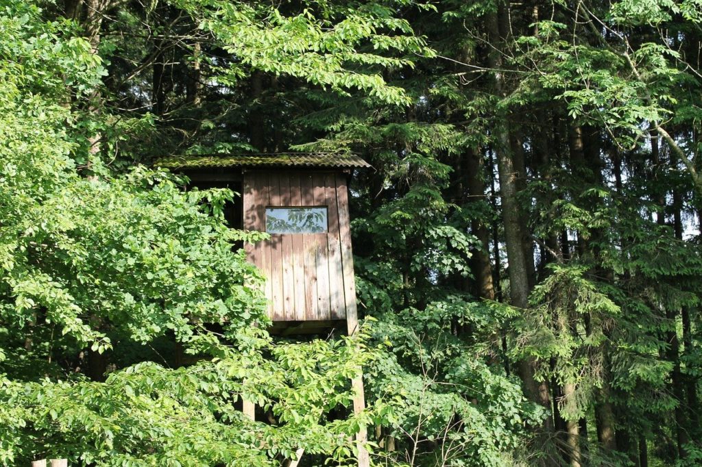 Treehouse partially hidden behind trees