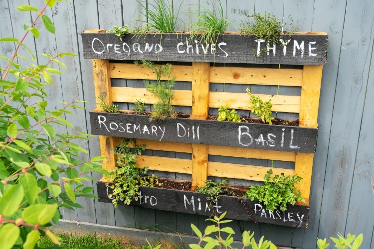 pallet-garden-herbs