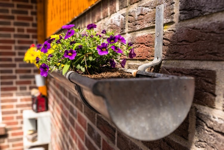 purple and yellow flowers growing out of a gutter garden affixed to a brick wall