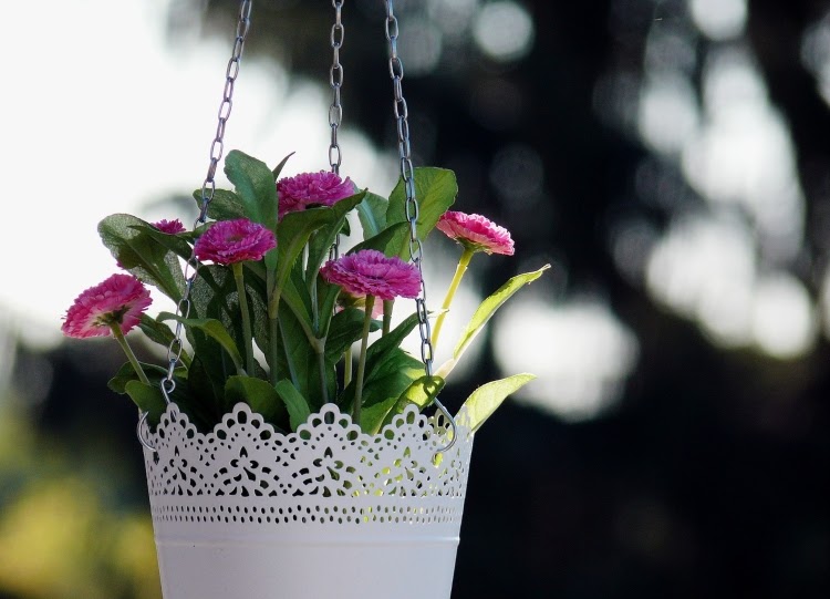 white hanging pot with purple flowers