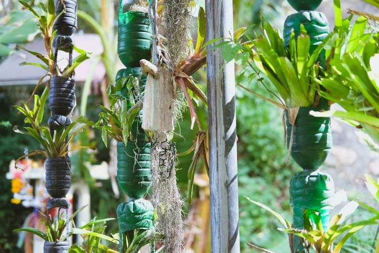 repurposed plastic soda bottles used as a vertical garden