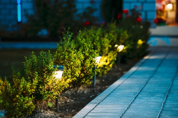Front walk lined with solar path lights in flower bed at night