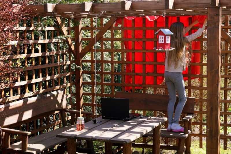 girl hangs red curtain on trellis wall of wooden pergola