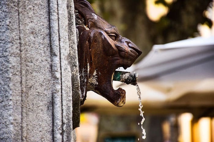 Lion head attached to wall spills out water from its open mouth.