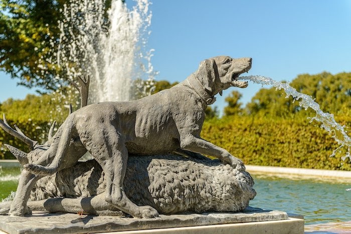 Water fountain sculpture of dog