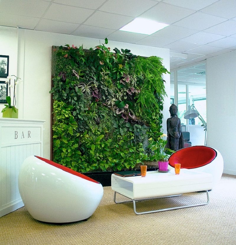 Green wall in an indoor seating area