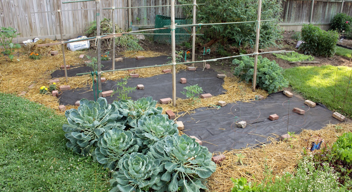DIY landscape fabric in a vegetable garden