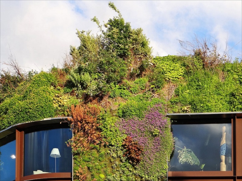 The list of 10+ How to build a living wall 1 Green Walls: How to Create a Living Landscape (or Wallscape)