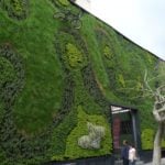 Green Walls: How to Create a Living Landscape (or Wallscape)