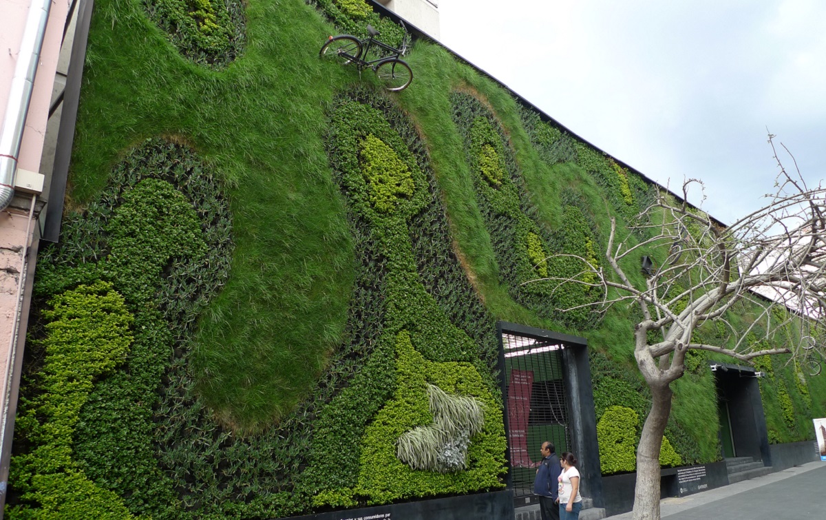 Large living wall on the side of a building