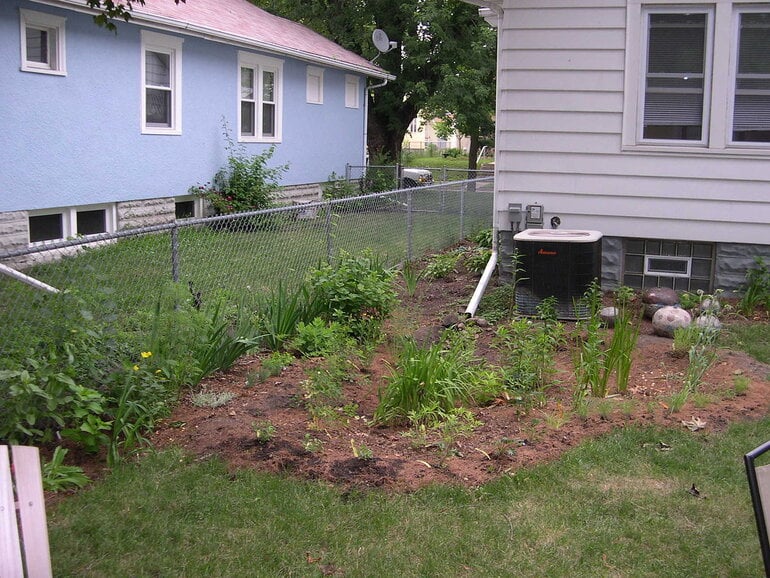 New rain garden with small plants near the wall of a house