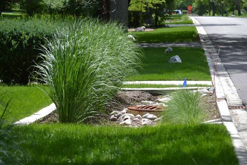 Rain garden with pavers around the edge