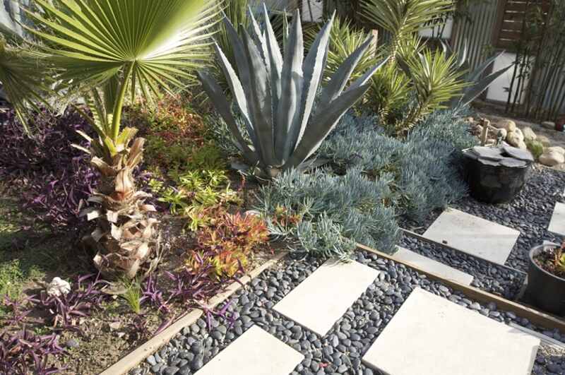 drought-resistant garden with pavers and river rocks for mulch