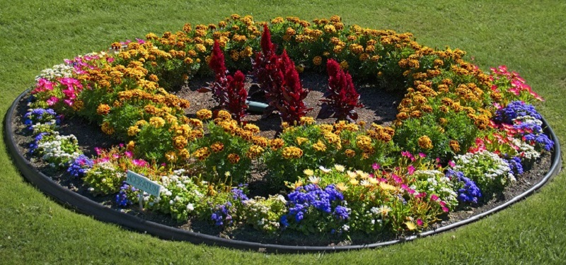 Colorful flower bed with black plastic edging