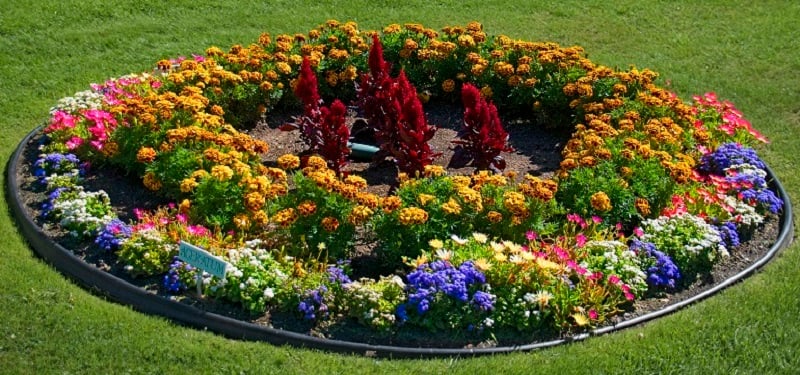 Colorful flower bed with black plastic edging