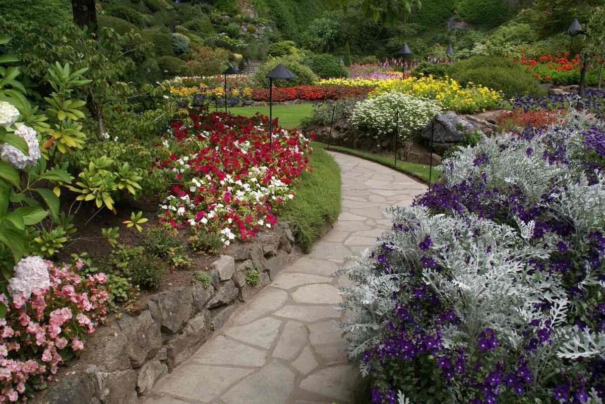Stone path through a garden of flowers and shrubs