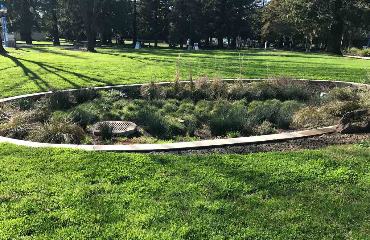 Rain garden as Low Impact Development green infrastructure