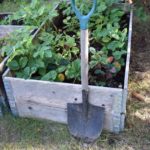 5 Creative Ideas for Raised Garden Beds