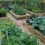 How to Build Your Own Raised Garden Beds