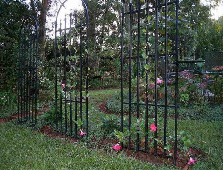 22 Best Trellis Ideas Simple & Easy Trellis Ideas Lawnstarter