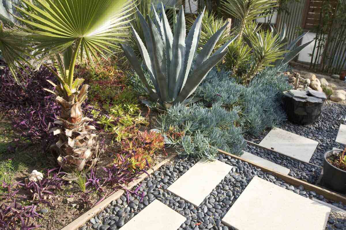 Colared rocks in the river  River rock, River rock landscaping, Rock and  pebbles