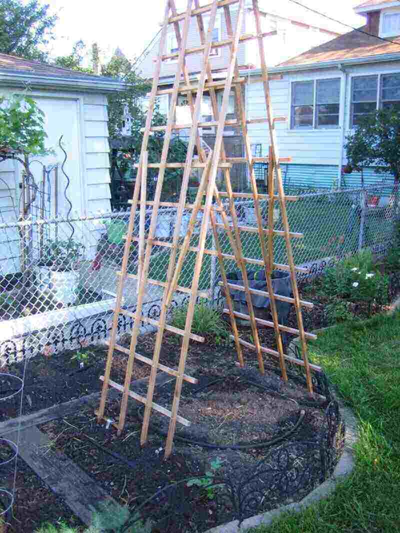 Wooden bench built into a trellis design