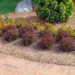 9 Alternatives to Landscape Fabric