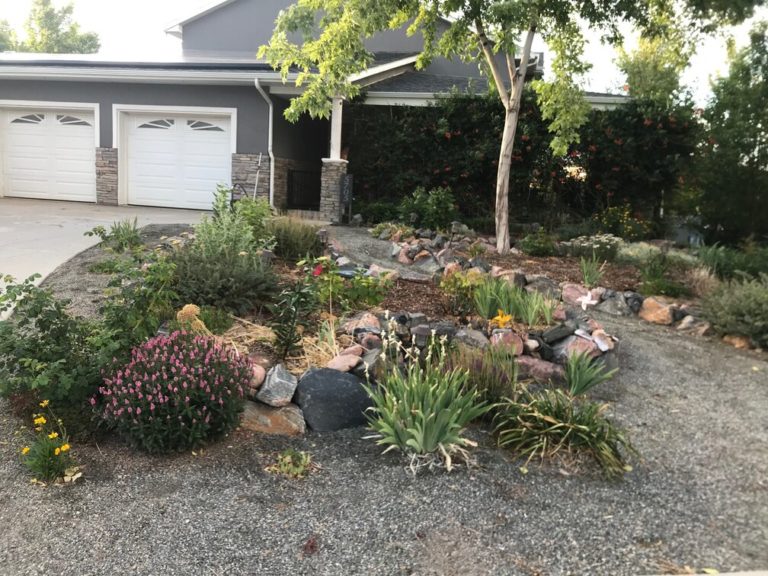 Xeriscaped front yard