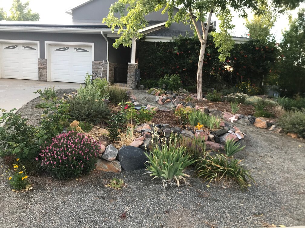 Xeriscaped front yard