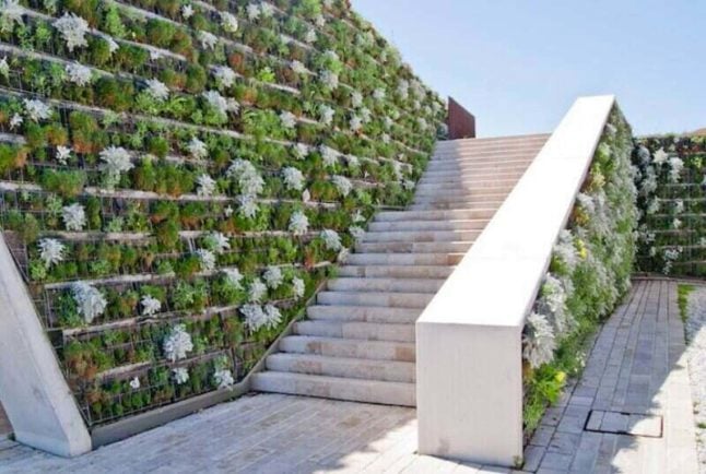 Wall of vegetables near a set of stairs