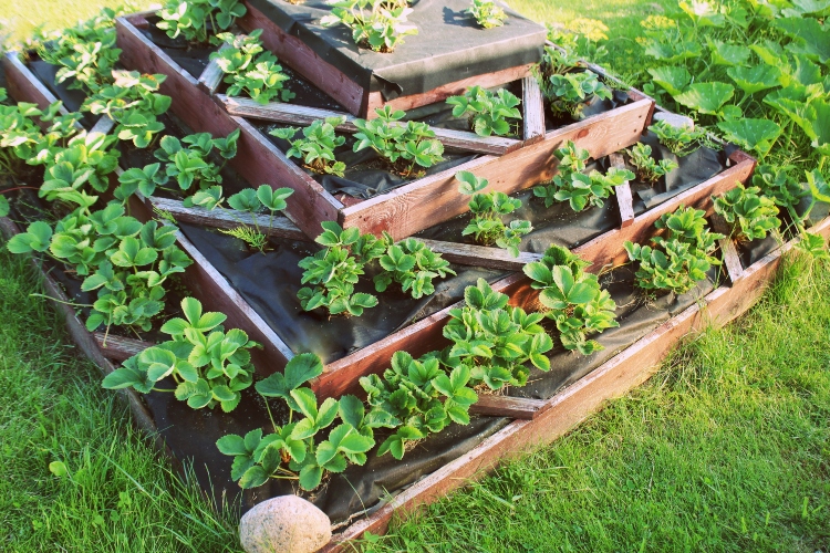 pyramid raised garden bed