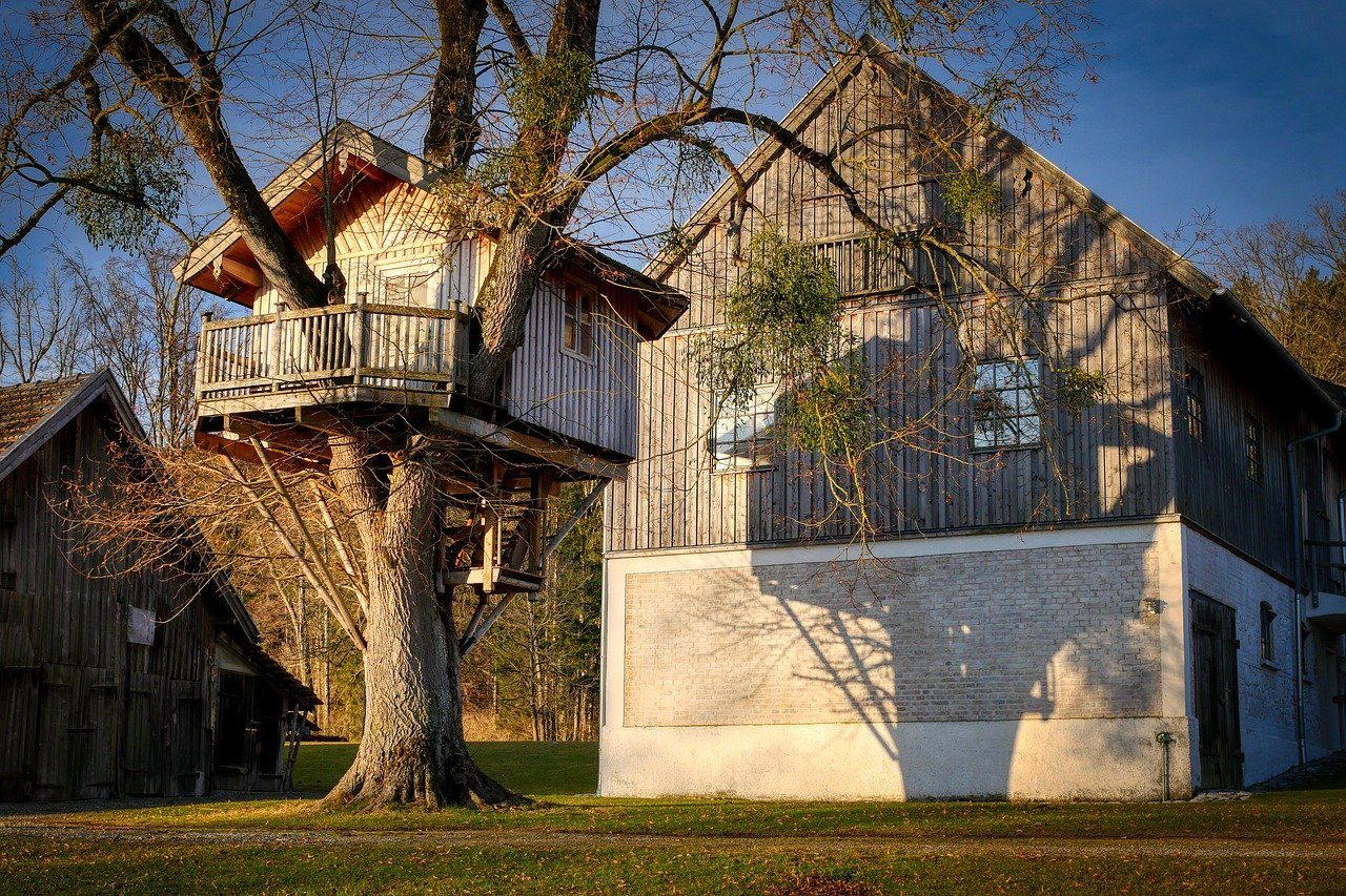 Treehouse in front yard tree