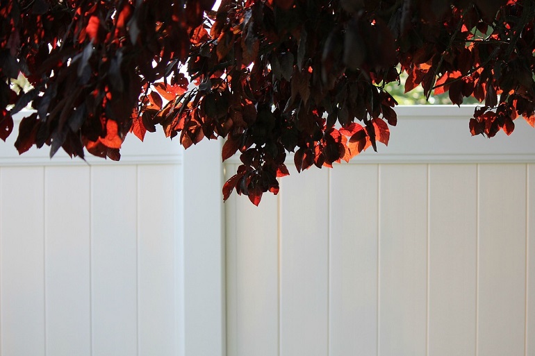 Close up picture of white vinyl privacy fence with purple leaves hanging over