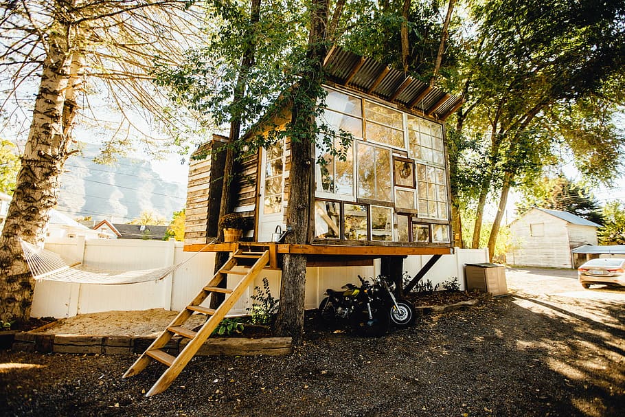 Treehouse with wall of windows, hammock on the right, and motorcycle parked beneath