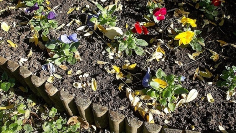 Wood pieces edging a flower bed